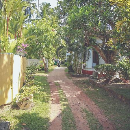 Hikka Surf Hostel 希克杜沃 外观 照片