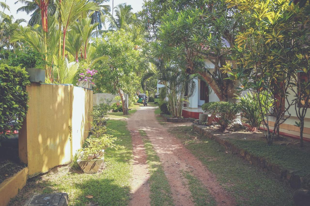 Hikka Surf Hostel 希克杜沃 外观 照片